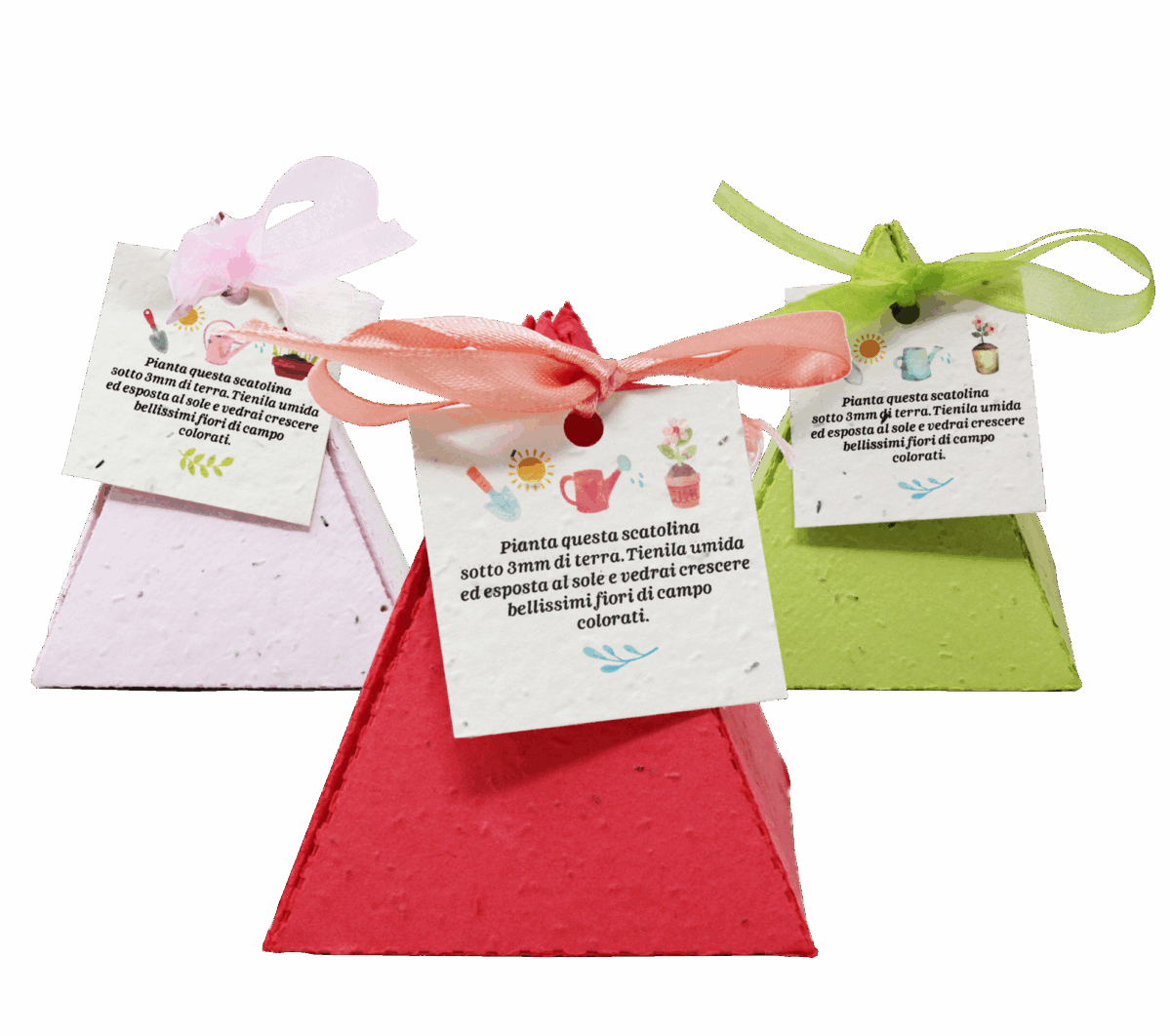Porta Confetti in Carta Piantabile – Box Piramidale in Carta Piantabile