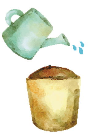 acqua1