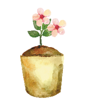 fiore1