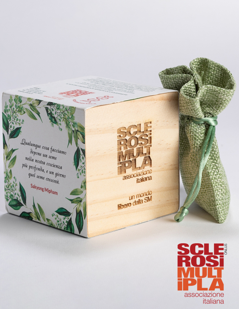 Cubi in legno con semi AISM