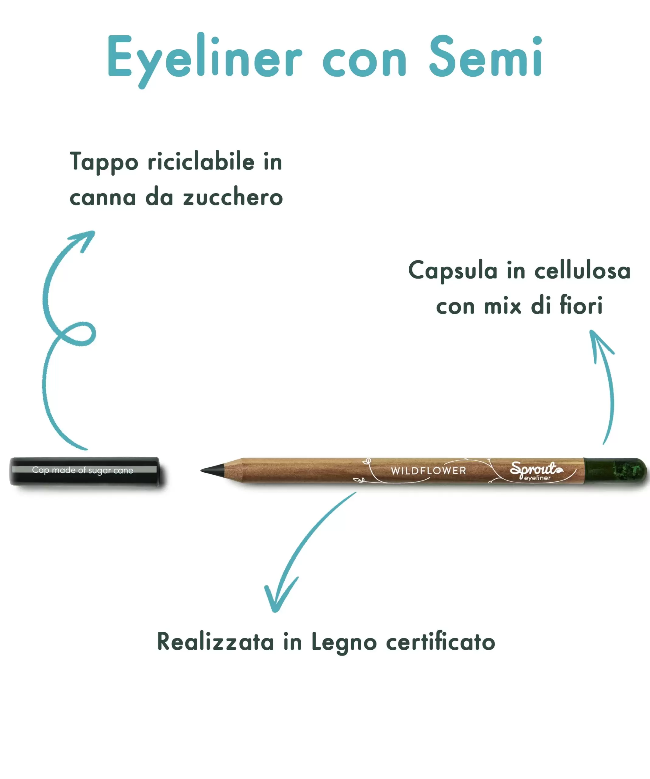 Eyeliner Sprout infografica