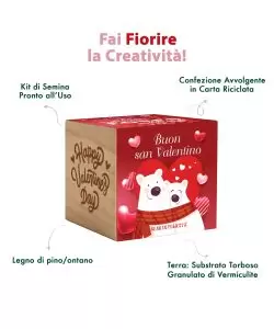 Infografica cube San Valentino