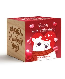 San Valentino-iGreencube