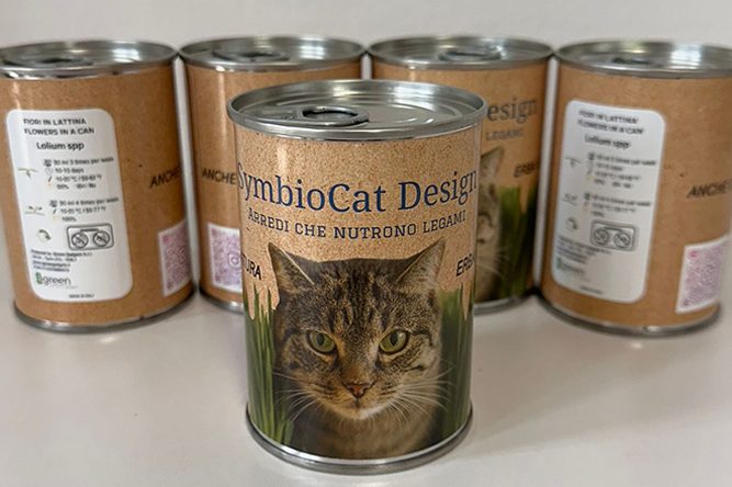 immagine_blog_italdecor1