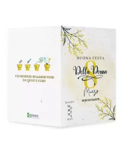 Biglietto augurale mimosa