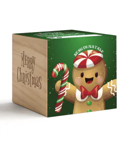 iGreen Cube Natalizio con omino di pan di zenzero su confezione verde e lato in legno