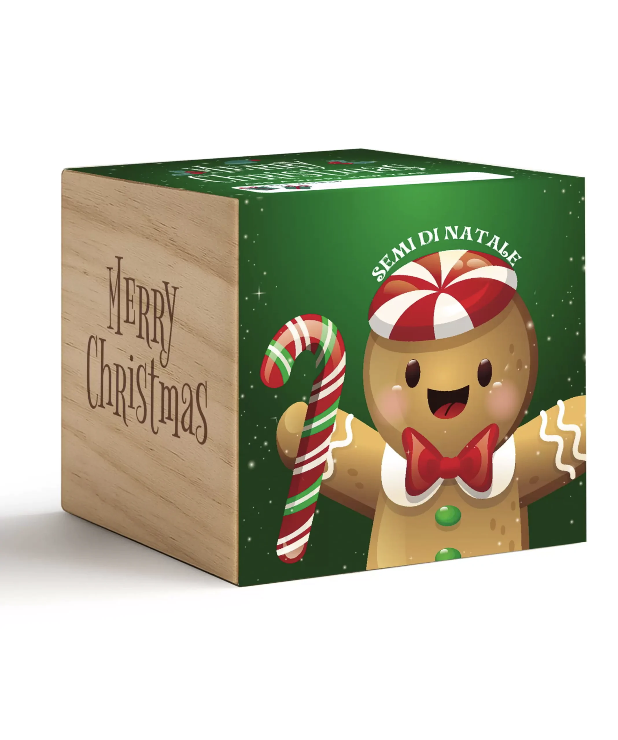 iGreen Cube Natalizio con omino di pan di zenzero su confezione verde e lato in legno