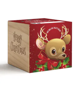 iGreen Cube Natalizio con renna su confezione rossa e lato in legno